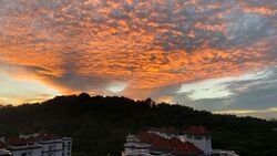 The Hillside (D21), Condominium #570612961